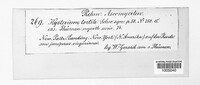 Image Associated With the Occurence